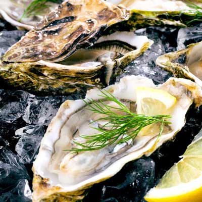 Osta Fine Foods Freshest oysters